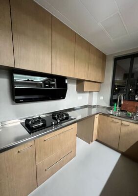 ভালো দাম ২৮ ইঞ্চি স্ক্র্যাচ প্রতিরোধী স্টেইনলেস স্টীল সিঙ্ক লিজ সহ, একক বাউল ওয়ার্কস্টেশন অনলাইন